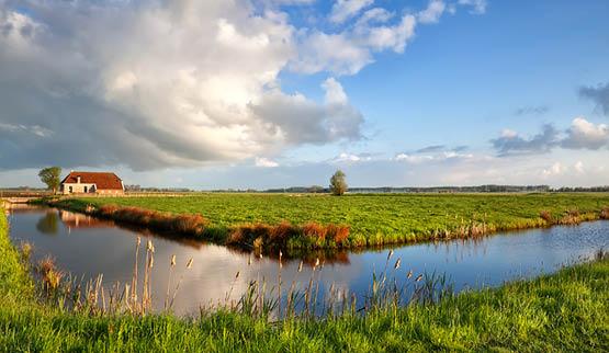 Vakantiehuis thema Grote vakantiehuizen Nederland